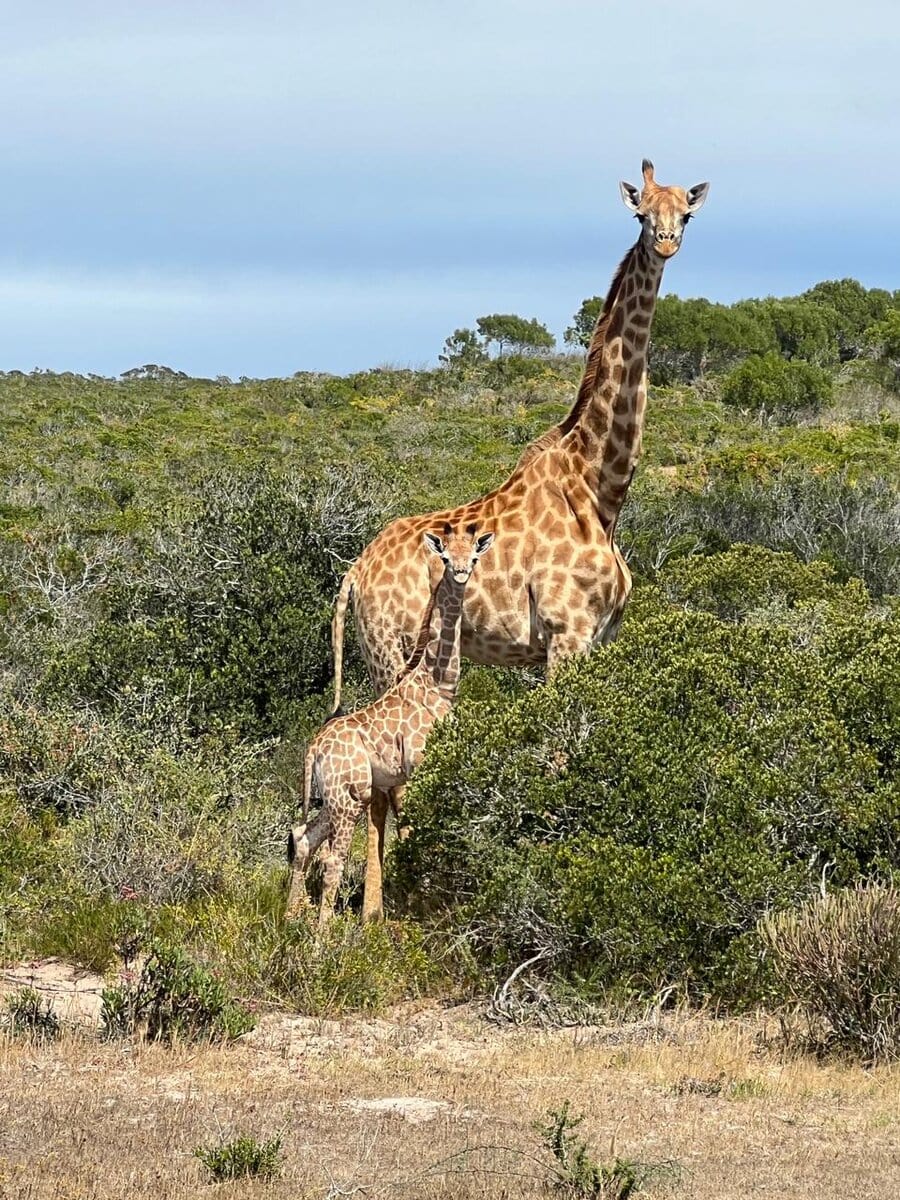 West Coast Private Game Reserve